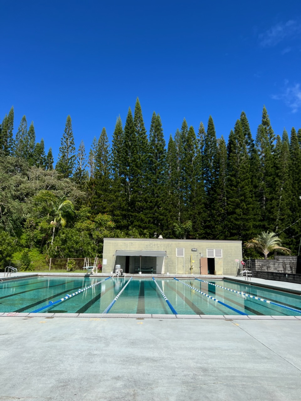 laupahoehoe pool